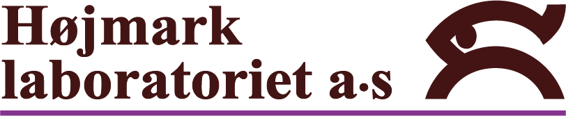 Logo Hojmarklab 2024